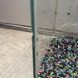 10g Aquarium Tank