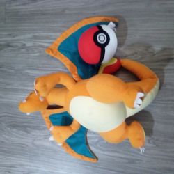 Charizard and a pokeball