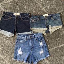 Hollister Shorts