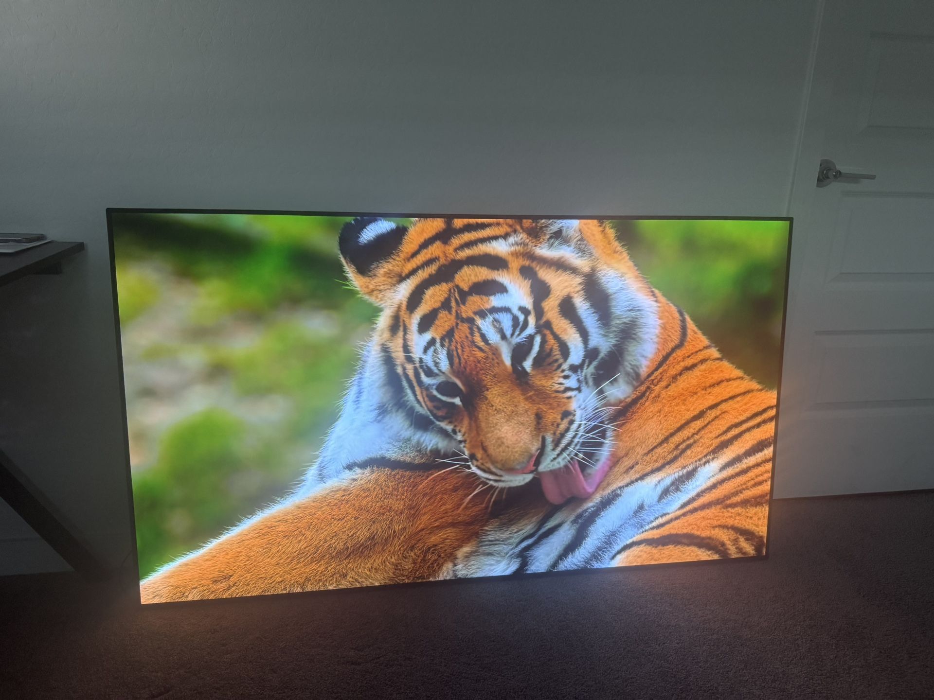65 Inch Oled Philips Roku