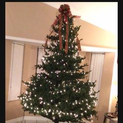 Árbol Navideño  Size 11 Pies de alto  No Luses  $50