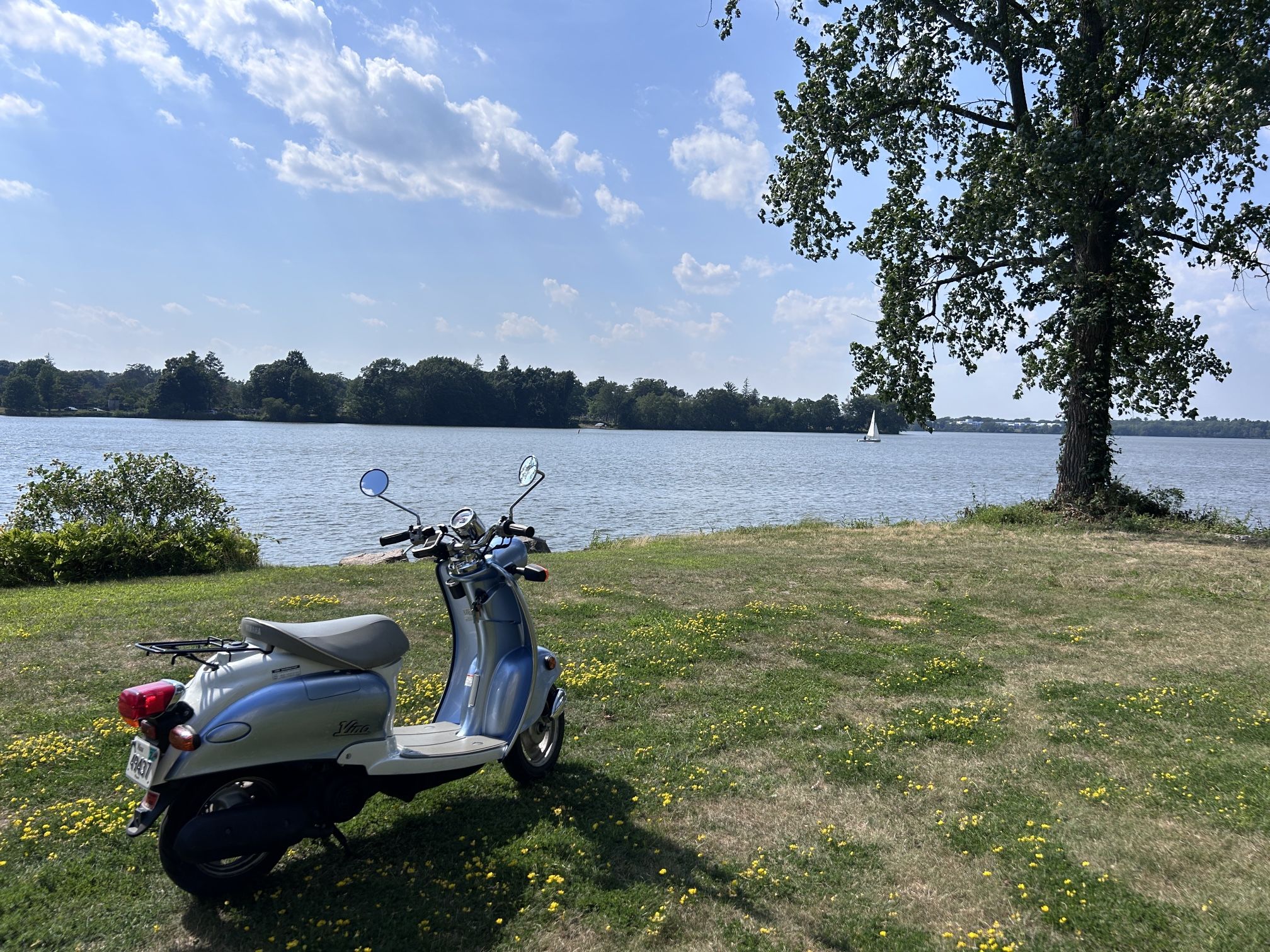 2004 Yamaha Vino 50cc