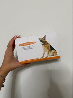 Training collar