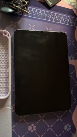 iPad mini