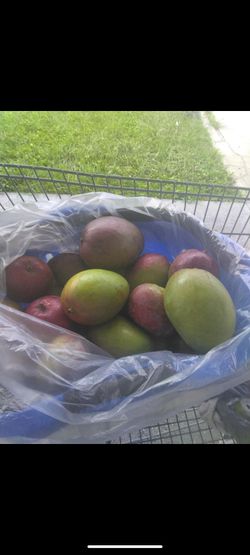 Green mango