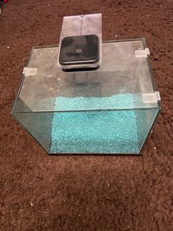 5 gallon fish tank