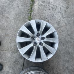 Accord Rims Real