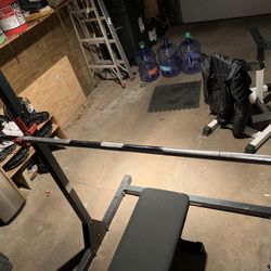 Olympic Barbell 45lbs