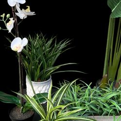 Plant Collection Lot Of Plants Artificial Home Office 