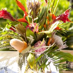 Tropical Fresh Arrangements