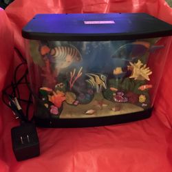 Fish Tank Not Real