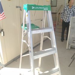 Louisville Ladder-225 Lb  Load Capacity
