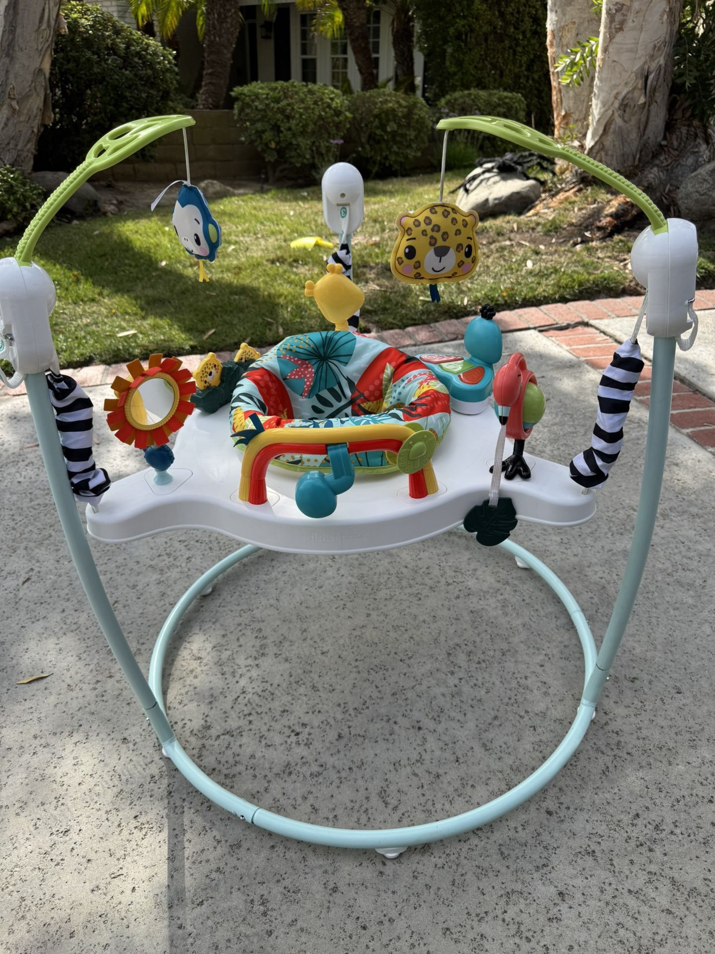 LIKE NEW! Fisher-Price Baby Jumper/Bouncer 
