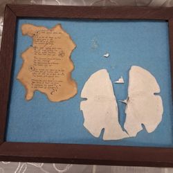 SAND DOLLAR DIAHRAMA 