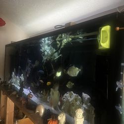 400 Gallon Long Fish Tank( 9ft L/3ft H/2ft W)