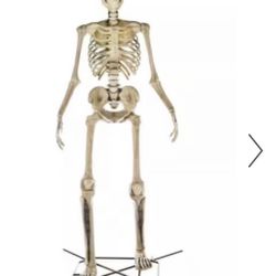 HOME DEPOT 12 FOOT SKELLY!!! 