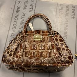 Brahmin Bag 