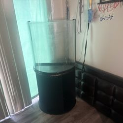 Fish Tank/terrarium