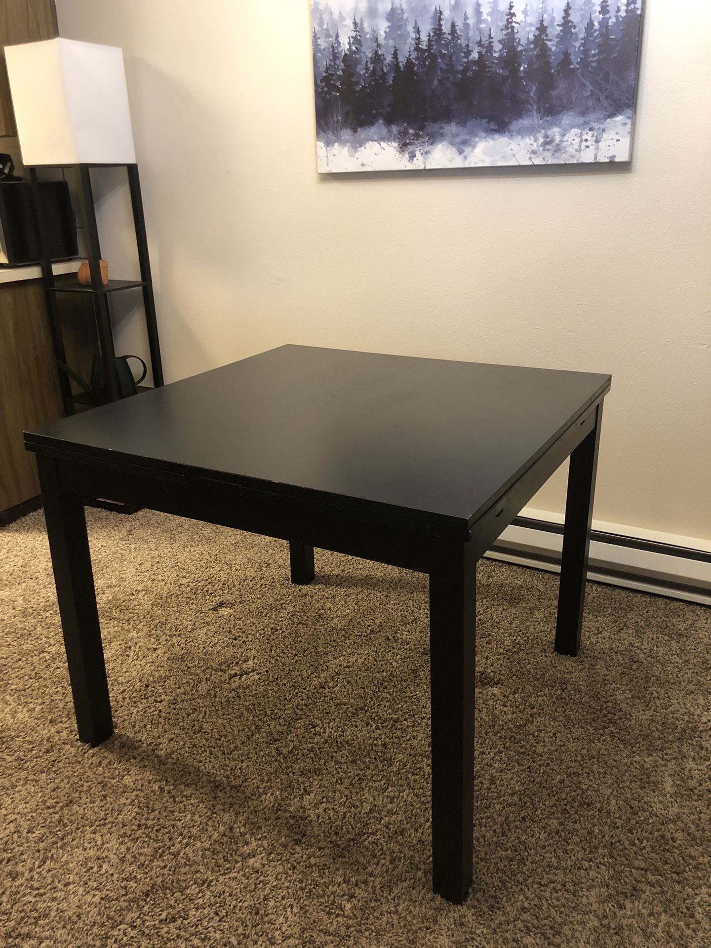 IKEA Expandable Dining Table