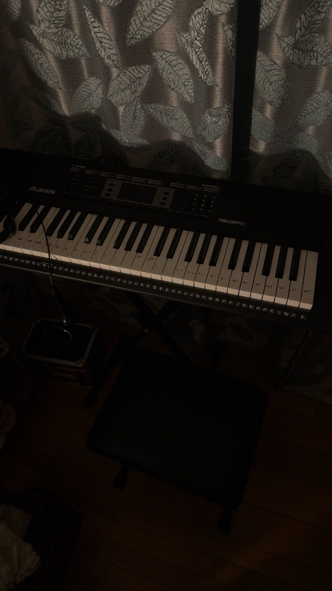 Electronic Piano