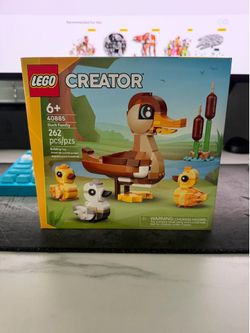 Family Duck
