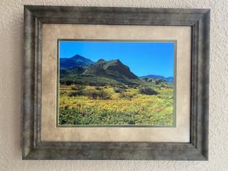 Poppies of El Paso Framed & Matted Photo