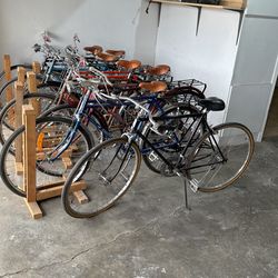 Collection Of Bikes