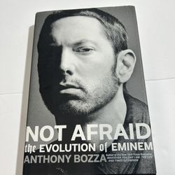 Not Afraid The Evolution Of Eminem