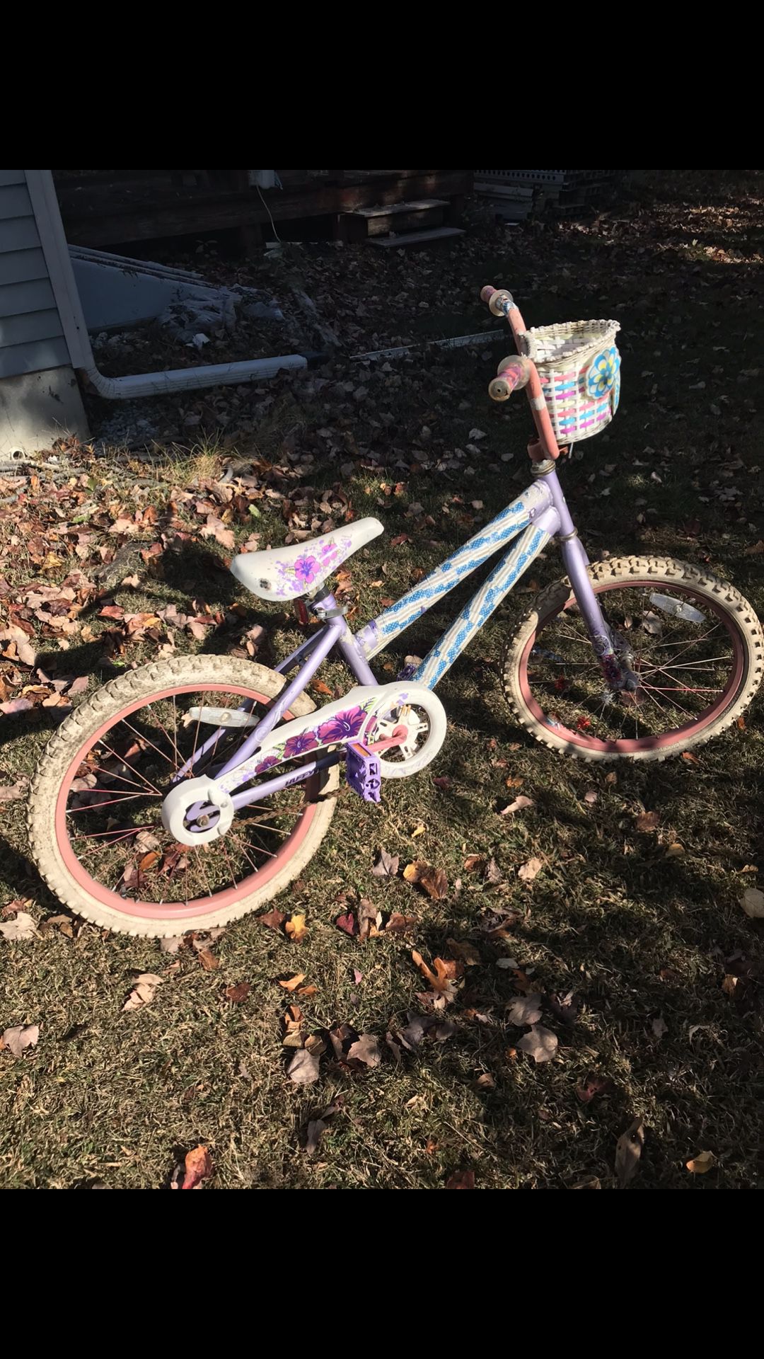 Nice Kids 20 Inch Bicycle Only $50