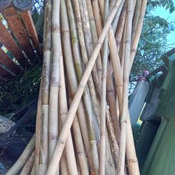 BAMBO STICKS