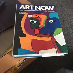 Art Now Book