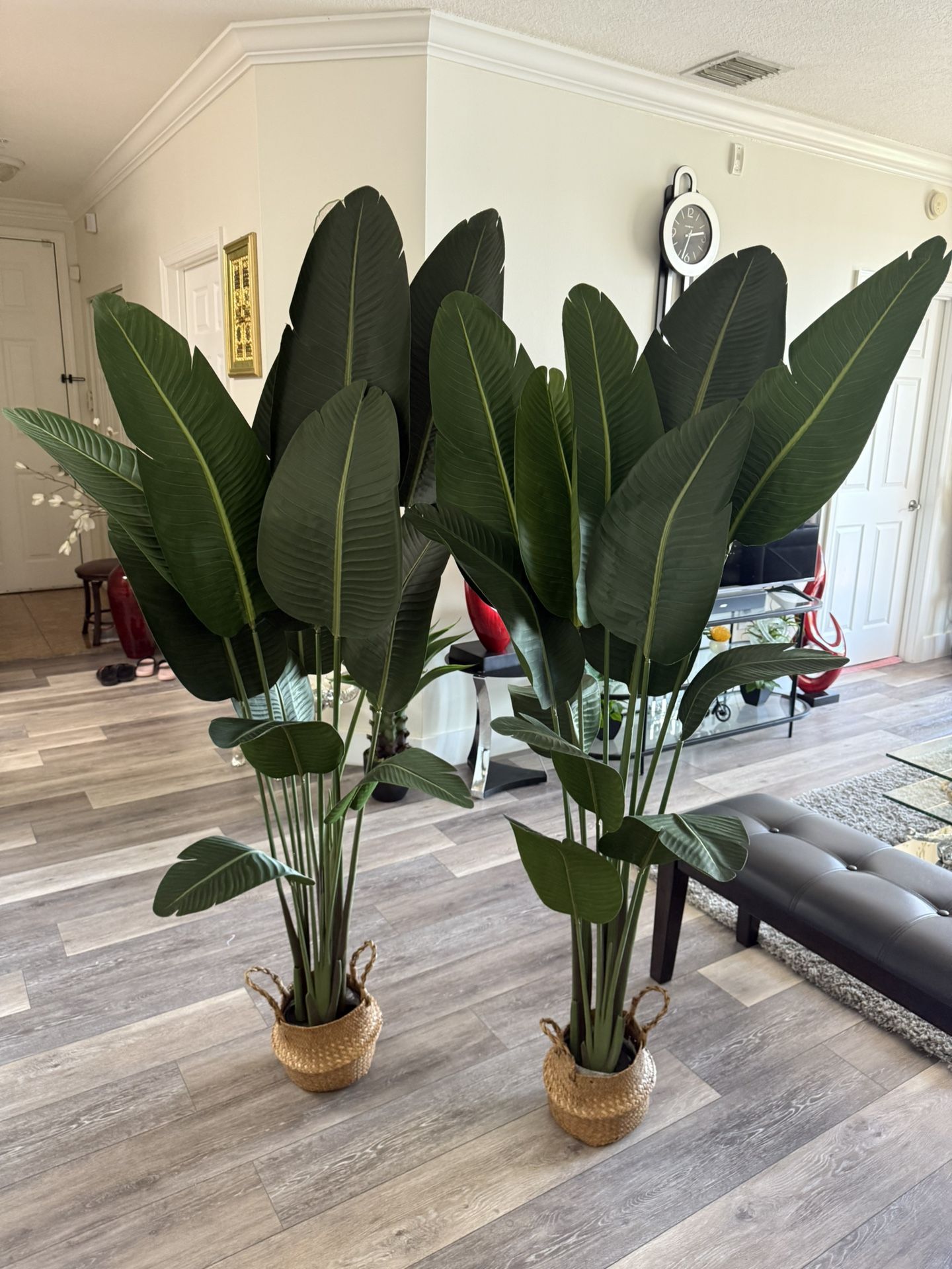 Pretty Artificial Plant 6 FT Tall With Sea Grass Belly Basket Set Of 2 ! Brand New
