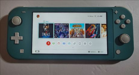 Nintendo Switch light