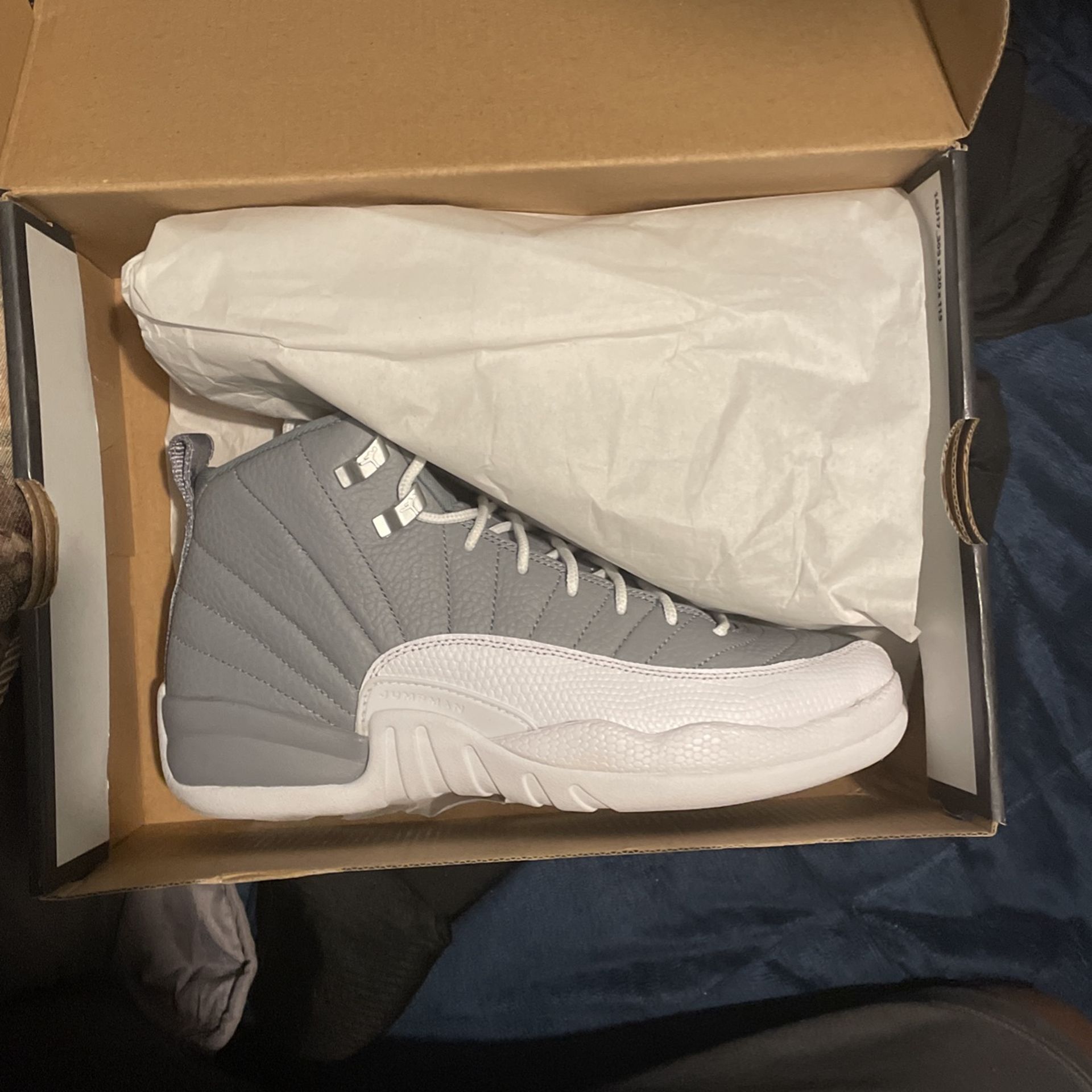 Jordan 12 (stealth)