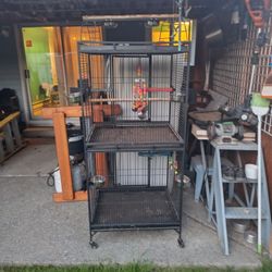 Bird Cage 