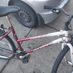 26 Inch Mountain Bike