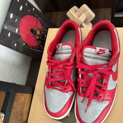 Nike UNLV dunks