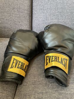 Everlast 14oz Boxing Gloves 