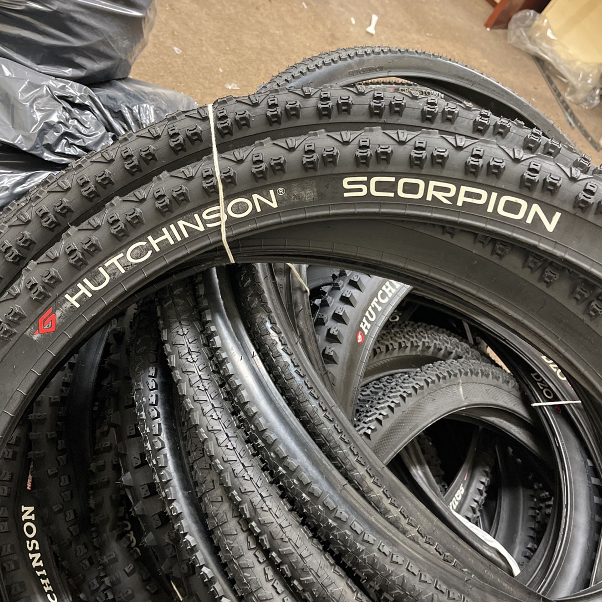Hutchinson Scorpion