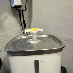 Cat water fountain