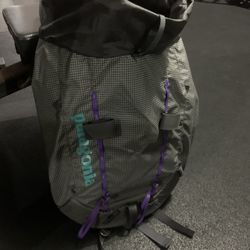 Patagonia Day Pack