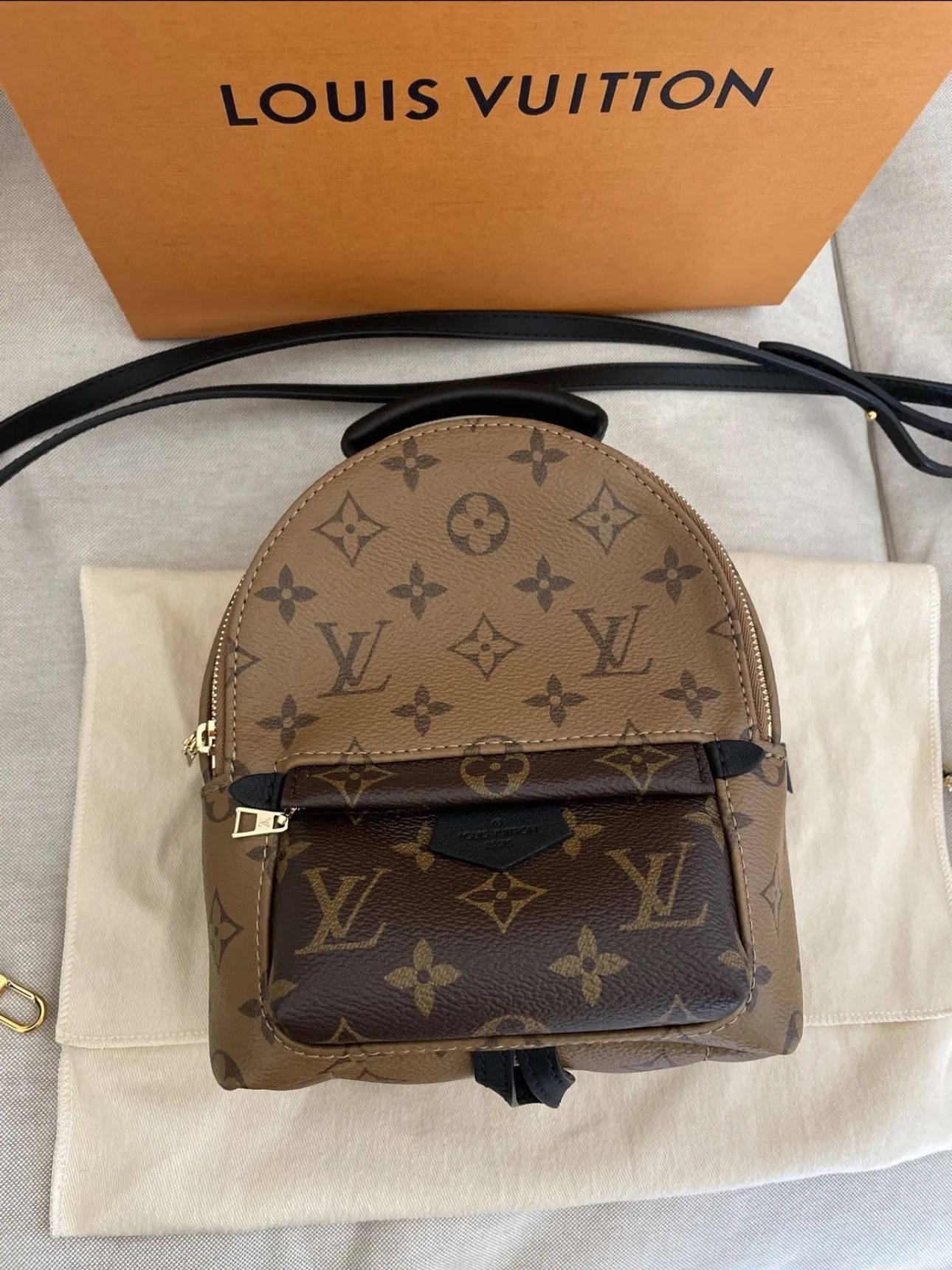 Louis Vuitton reverse monogram Palm Springs mini backpack