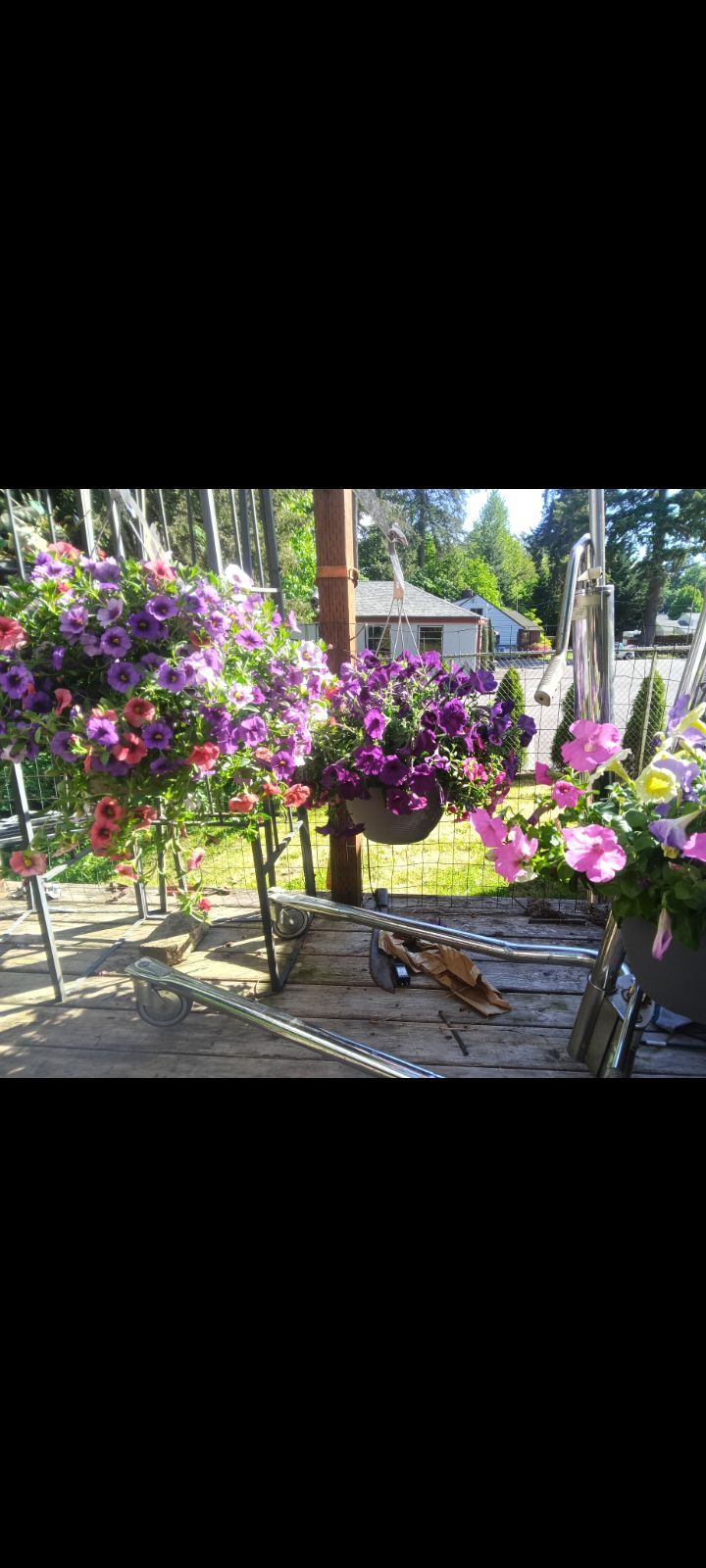 Hanging flower basket 3for$50