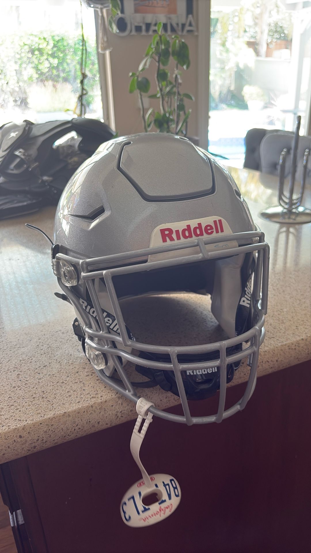 Riddell Silver Speedflex Large (2024 Initial Season)