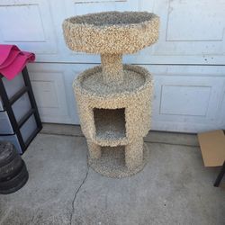 Cat Tree House 🐈!