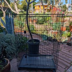4ft pet cage
