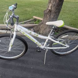 Trek MT200 24 Inch Mountain Bike