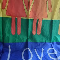Love Is Love Flag