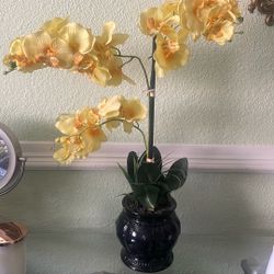 Fake Orchids 