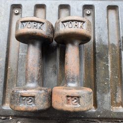 Weight York Roundheads Dumbbells 